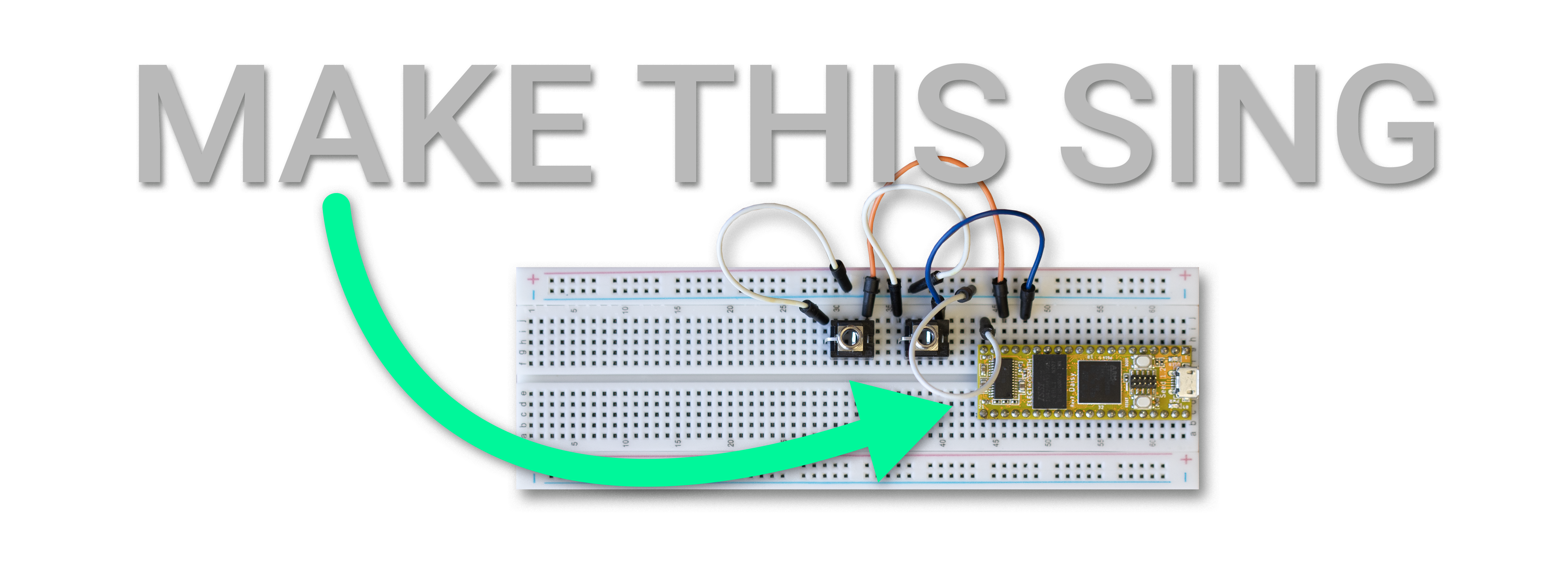 Make This Sing Image